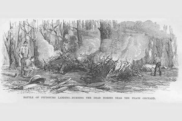 Burning Dead Horses at the Battle of Pittsburg Landing by Frank Leslie - Art Print