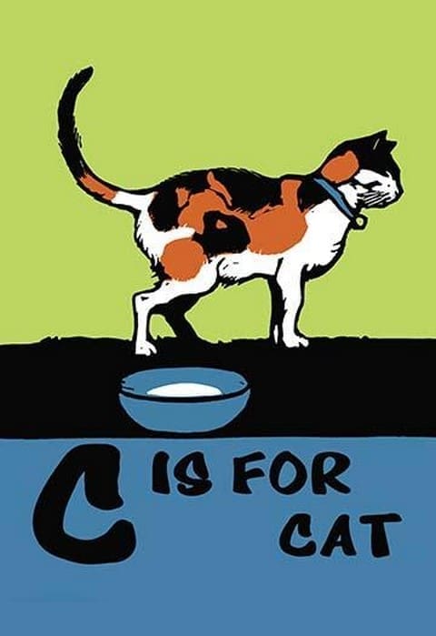 C is for Cat by Charles Buckles Falls - Art Print