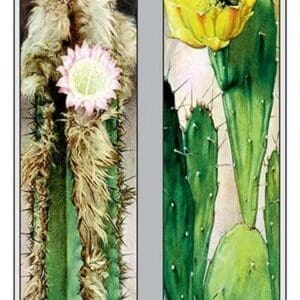 Cactus Flowers - Art Print