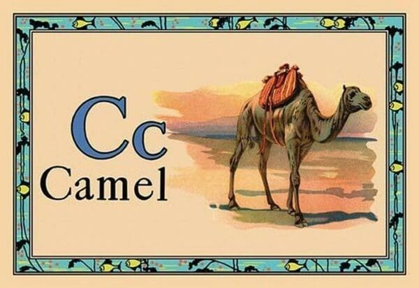 Camel #2 - Art Print