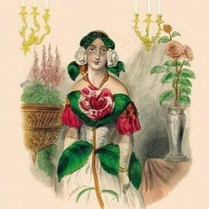 Camellia by J.J. Grandville - Art Print