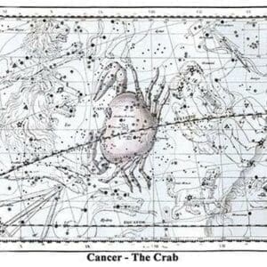 Cancer - the Crab by Alexander Jamieson - Art Print