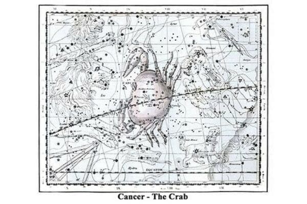 Cancer - the Crab by Alexander Jamieson - Art Print