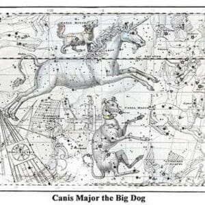 Canis Major the Big Dog by Alexander Jamieson - Art Print