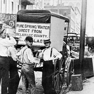 Carriage Vendor