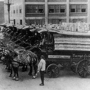 Cart Line