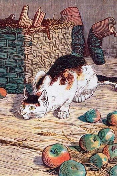 Cat with Apples by Randolph Caldecott - Art Print