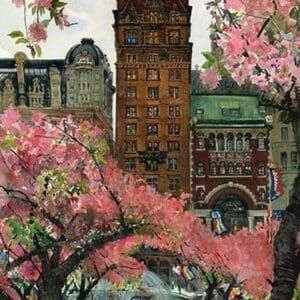 Cherry Blossoms by Noel Miles - Art Print