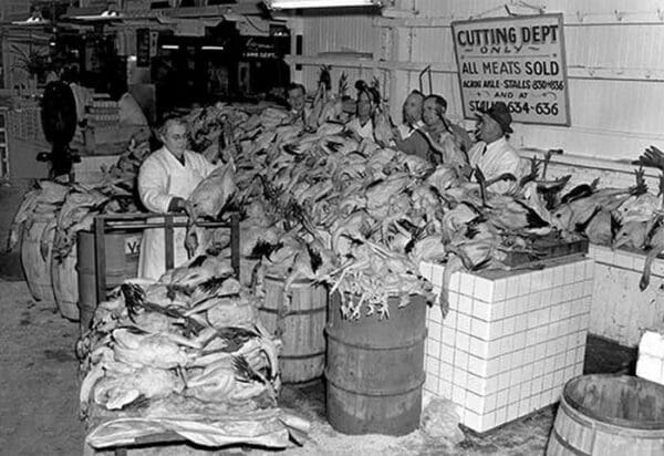 Chickens! Philadelphia's Reading Terminal - Art Print