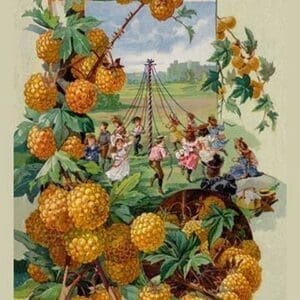 Childs Golden Japanese May Berry - Art Print