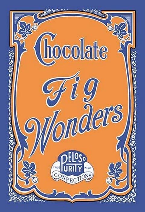 Chocolate Fig Wonders - Art Print