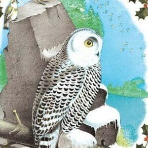 Christmas Snow Owl by Sara Pierce - Art Print