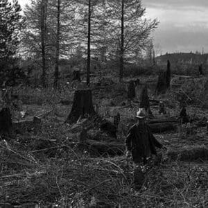 Clearing the Forest by Dorothea Lange #2 - Art Print