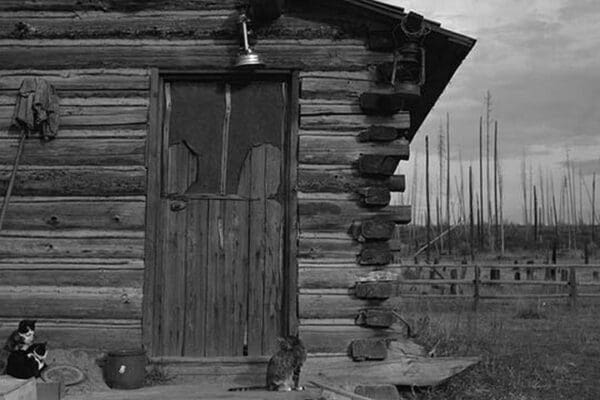 Clearing the Forest by Dorothea Lange #3 - Art Print