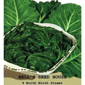 Collards: Georgia - Art Print