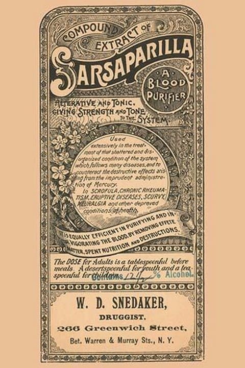 Compound of Sarsaparilla - Art Print