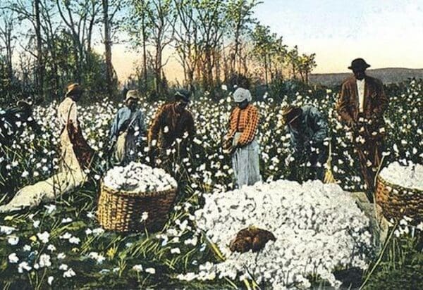 Cotton Field Workers - Art Print