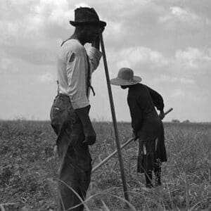 Cotton sharecroppers by Dorothea Lange - Art Print