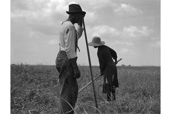 Cotton sharecroppers by Dorothea Lange - Art Print