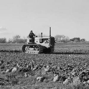 Cultivating potato field by Dorothea Lange - Art Print