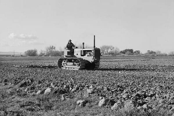 Cultivating potato field by Dorothea Lange - Art Print