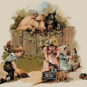 Curious Pigs - Art Print