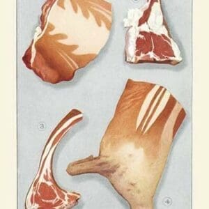 Cuts of Lamb - Art Print