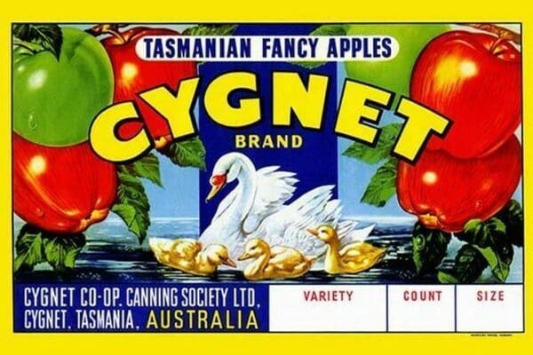 Cygnet Tasmanian Fancy Apples - Art Print