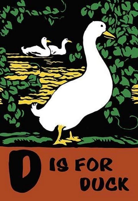 D is for Duck by Charles Buckles Falls - Art Print