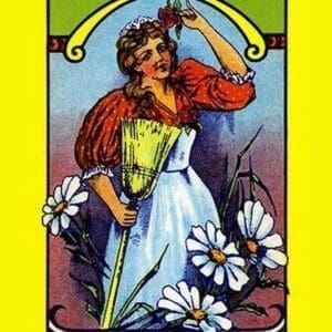 Daisy Maid Broom Label - Art Print