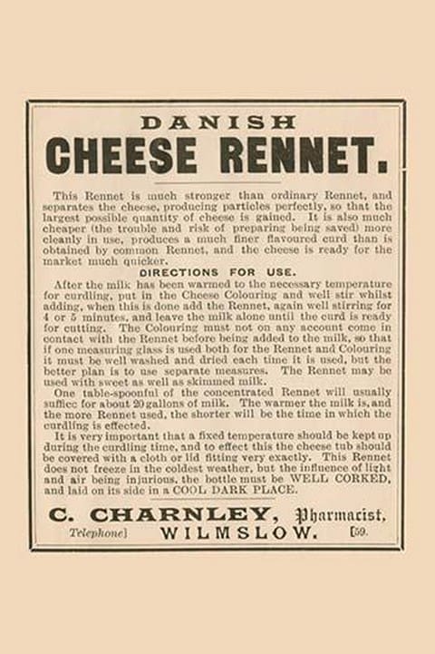 Danish Cheese Rennet - Art Print