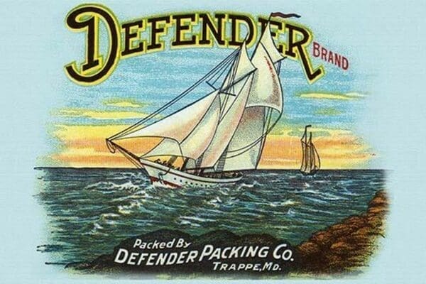 Defender Sail - Art Print