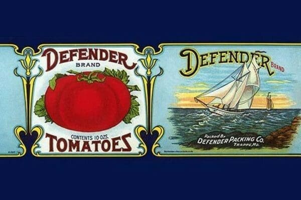 Defender Tomatoes - Art Print