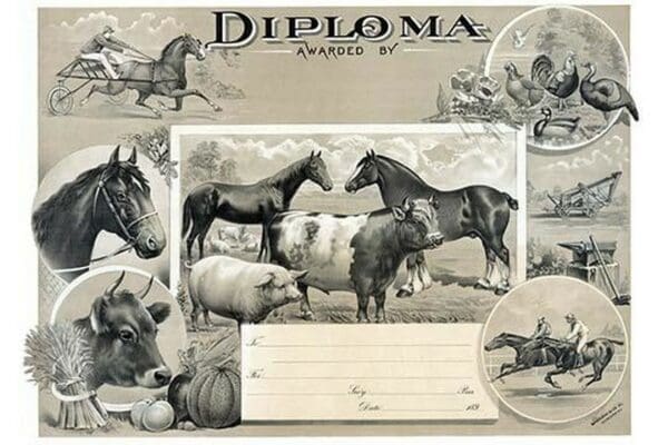 Diploma awarded by by Stecher Lith Co - Art Print