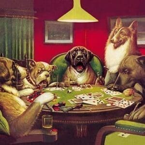 Dog Poker - 'Stun