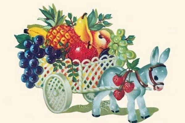 Donkey Fruit Cart - Art Print