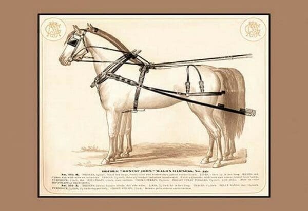 Double 'Honest John' Wagon Harness - Art Print