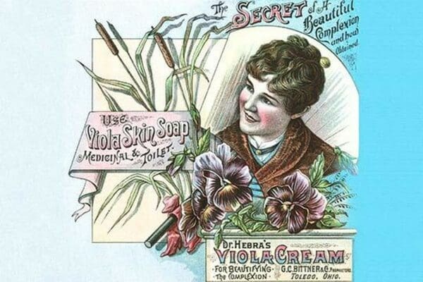 Dr. Hebra's Viola Cream #2 - Art Print