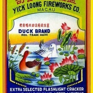 Duck Brand Extra Selected Flashlight Cracker - Art Print