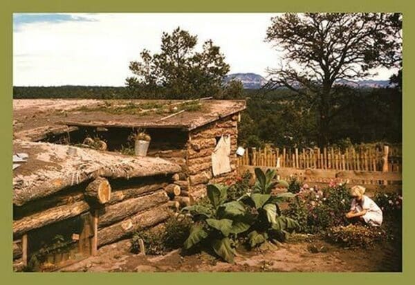 Dugout Home Graden of Jack Whinery in Pie Town by Russell Lee - Art Print