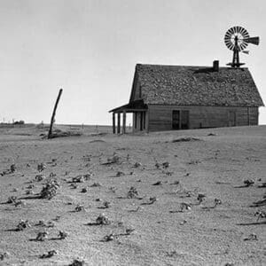 Dust Bowl Farm by Dorothea Lange - Art Print