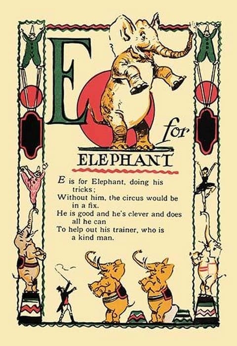 E for Elephant by Tony Sarge - Art Print