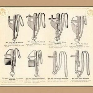 Eight Bridles - Art Print