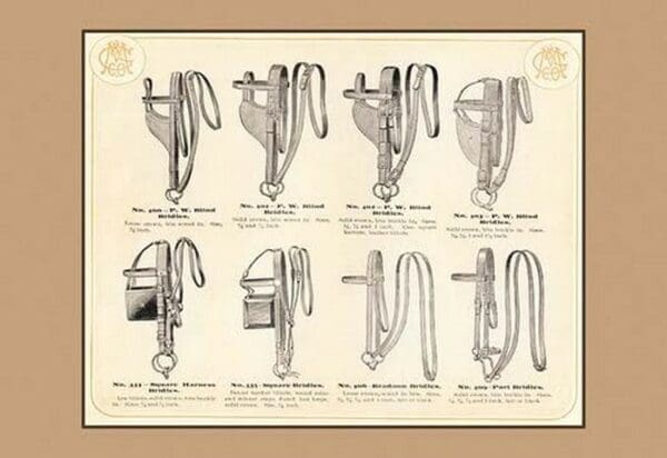 Eight Bridles - Art Print