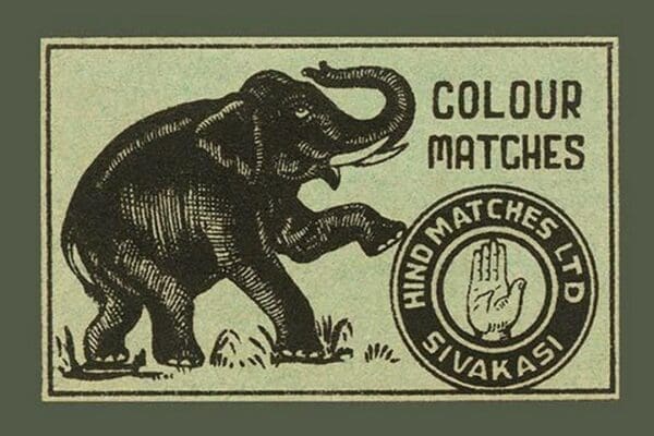 Elephant Colour Matches #2 - Art Print