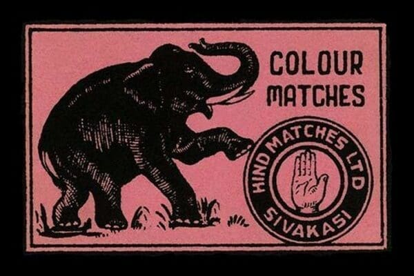 Elephant Colour Matches - Art Print