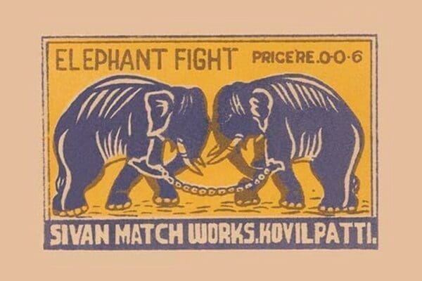 Elephant Fight - Art Print