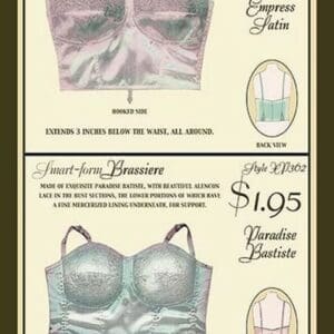 Empress Satin and Paradise Batiste Brassieres - Art Print