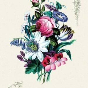 Ensemble with Pick Rose - Art Print