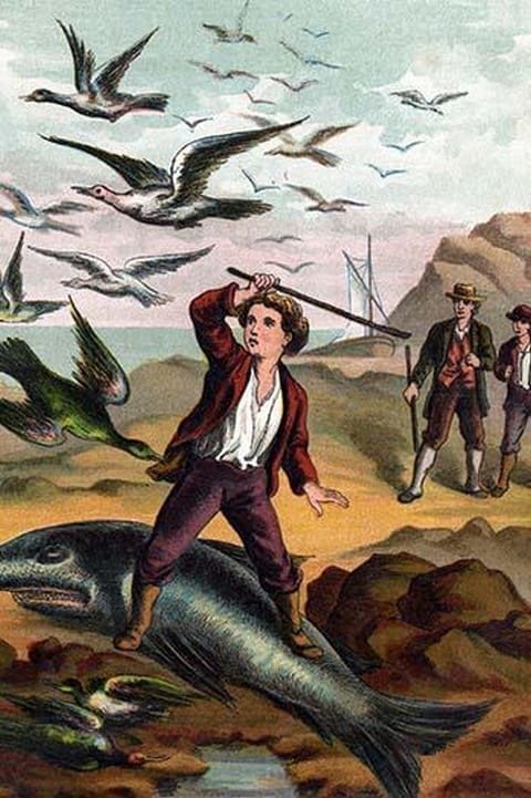 Ernest driving the birds away from a dead shark by Johann David Wyss - Art Print